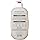 EOS SHEA BUTTER COCONUT WATERS 16 FL OZ - Image 3
