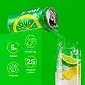POPPI PREBIOTIC LEMON LIME 12 OZ - Image 2